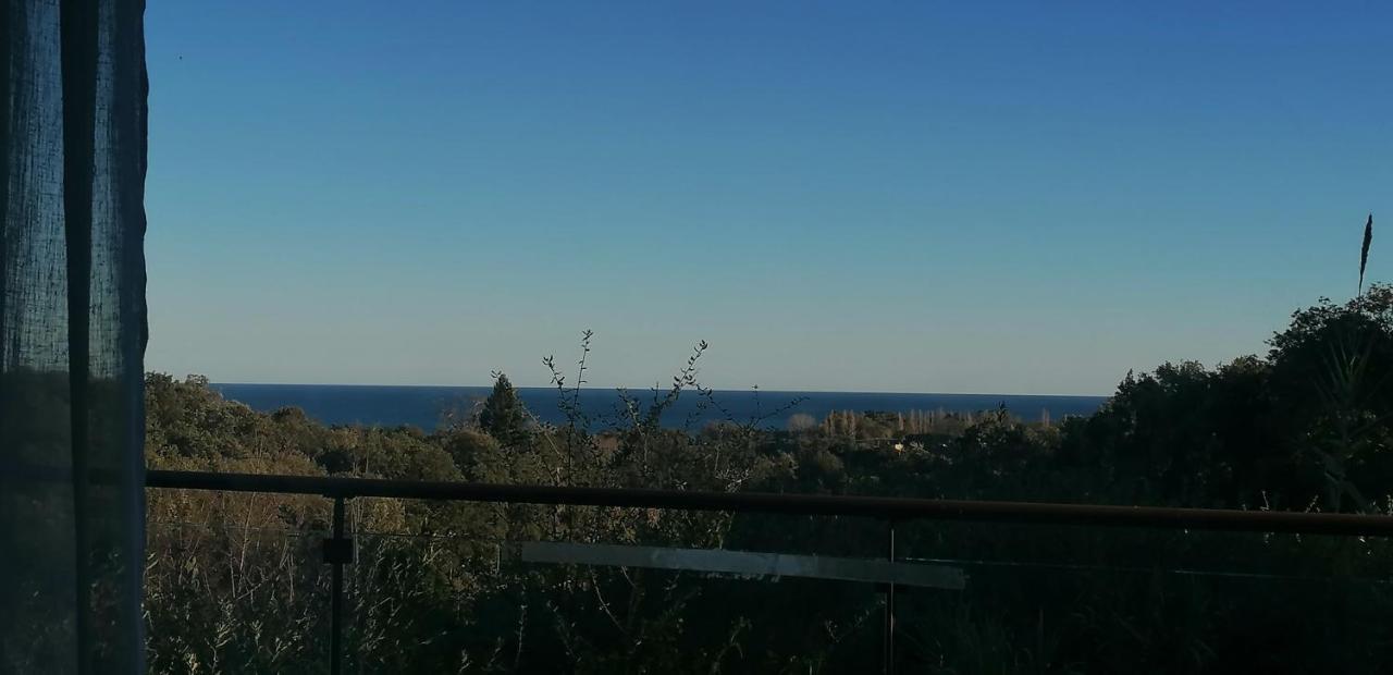Villa Angelini Valle-di-Campoloro Luaran gambar