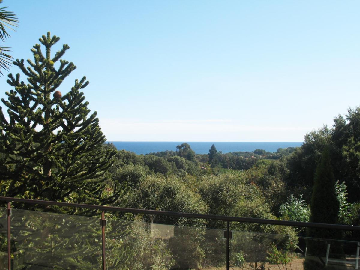 Villa Angelini Valle-di-Campoloro Luaran gambar